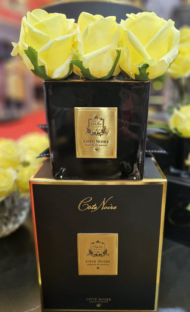 Couture Nine Rose Buds - Black - Yellow - SVB908 (Carton of 2)